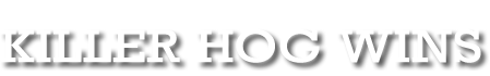 killerhogwins2
